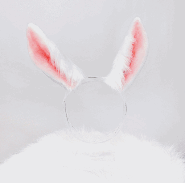 [십이흑호] 말랑 토끼 귀 모음 (13가지 색상)